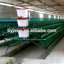 Chicken Roosting Cage,Chicken Egg Cage For Sale